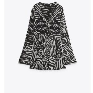 Zara Printed Dress